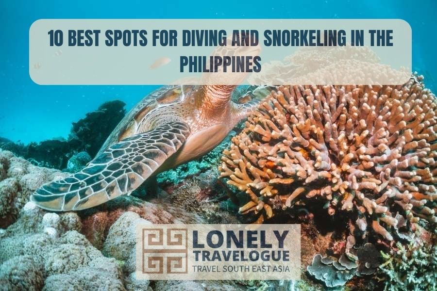 10 Best Spots For Diving and Snorkeling in The Philippines
