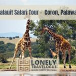 Calauit Safari Tour –  Coron, Palawan