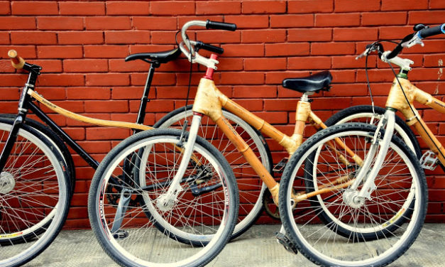 Bambike Ecotours | A New Way to See Manila