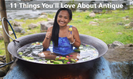 11 Things You’ll Love About Antique + Travel Guide