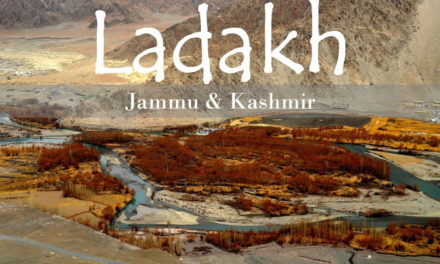 Braving the Altitude: The Out of this World Beauty of Ladakh to Alchi and Likir Monastery to the Broken Dreams in Pangong Tso Lake