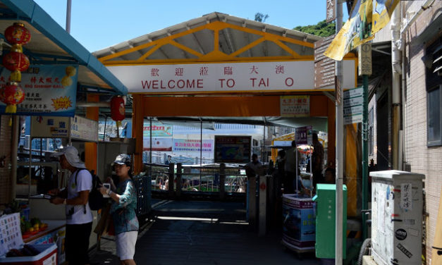 Tai O’s Pink Dolphins and the Shouting Fish Vendor