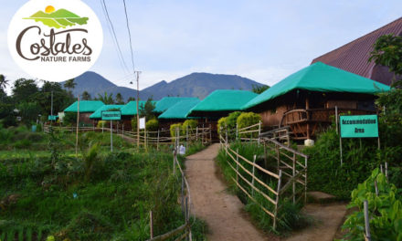 Costales Nature Farm: A Life in The Farm