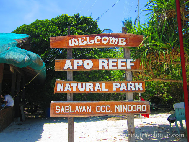 Sablay Sa Sablayan: The (Un) Sublime Underwater Experience in Apo Reef Marine Sanctuary